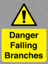 danger-falling-branches~